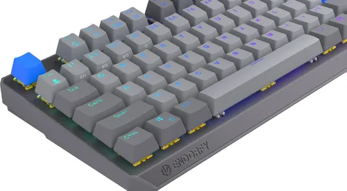Klawiatura ENDORFY Thock V2 TKL Wireless