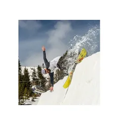 Deska Rome Agent 20th Anniversary LE