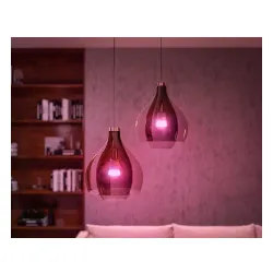 Żarówka LED Philips Hue White and Colour Ambiance E27 2 szt. + mostek