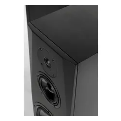 Kolumny Pylon Audio Sapphire 31 Czarny 2szt.