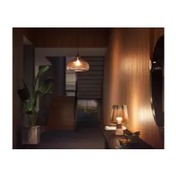 Żarówka LED Philips Hue White A60 E27 2 szt.
