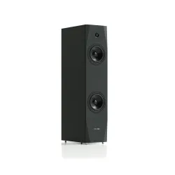 Kolumny Pylon Audio Sapphire 25 Czarny 2szt.