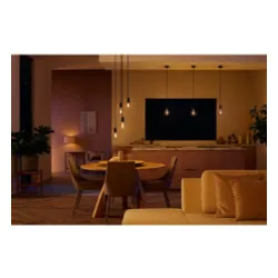 Żarówka LED Philips Hue White Ambiance Filament Globe G125 E27 1 szt.