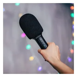 Mikrofon z głośnikiem Bluetooth Forever BMS-500 5W Czarny