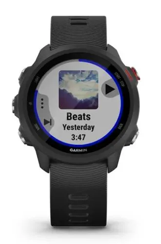 Умные Часы Garmin Forerunner 245 Music