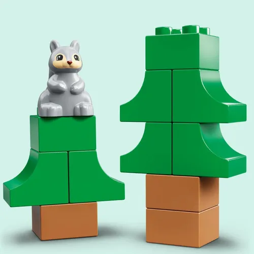 LEGO Duplo Aile Kampı (10946)