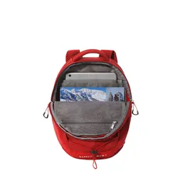 Sırt çantası The North Face Borealis Mini-horizon red / white