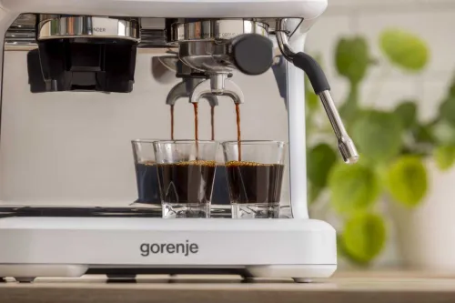 Ekspres kolbowy Gorenje GSACM20W