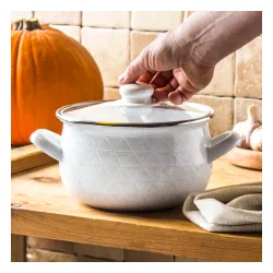 Garnek emaliowany z pokrywką EMALIA POLSKA PLESZEW PYZA DIAMOND BIAŁY 2,8 l