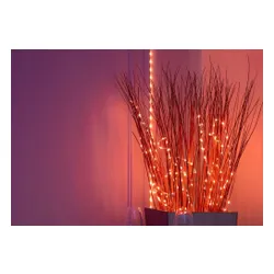 Taśma LED TWINKLY Dots TWD060STP-B 3m