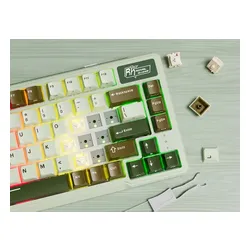 Klawiatura ROYAL KLUDGE L75 Palm Green Beige Switch