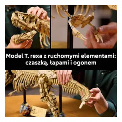 LEGO 76968 Jurassic World Szkielety dinozaurów: tyranozaur