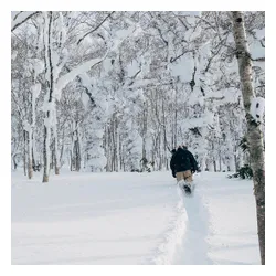 Deska Rome Slapstick Youth 2026