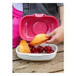 Lunchbox dziecięcy Monbento MB Gram - pink / birds