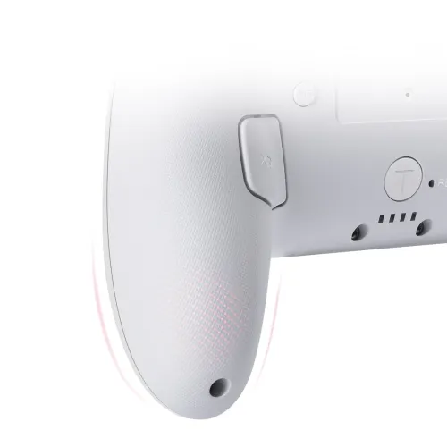 Adapter FUNLAB Firefly Pro Controller - Cat Paw do Nintendo Switch / Switch 2 Bezprzewodowy