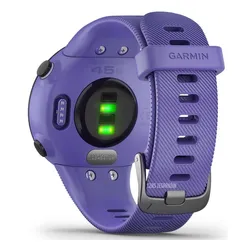 Смарт-часы Garmin Forerunner 45S ирис (010-02156-11)