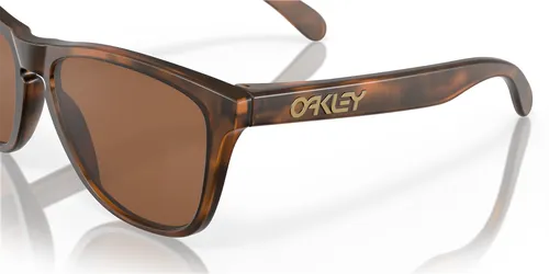 Okulary rowerowe OAKLEY Frogskins PRIZM Tungsten