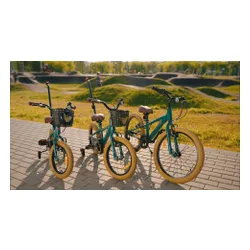 Rower dziecięcy SUN BABY Verdant Rowan 16 cali dla chłopca Zielony