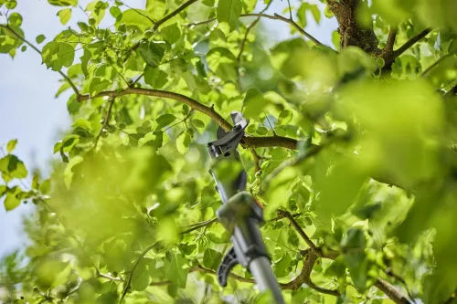Nożyce akumulatorowe do gałęzi GARDENA teleskopowe HighCut 250/18V P4A (z akumulatorem) 14774-20
