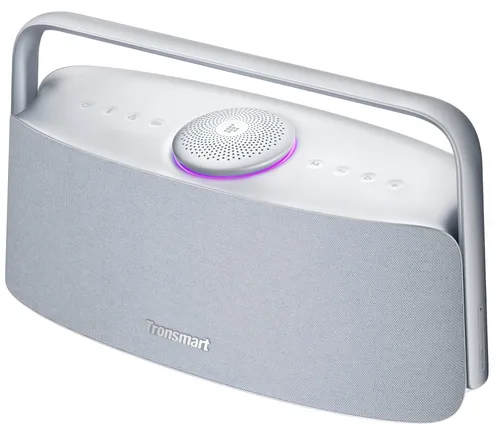 Głośnik mobilny TRONSMART Fiitune X30 Szary