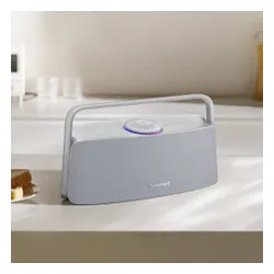 Głośnik mobilny TRONSMART Fiitune X30 Szary