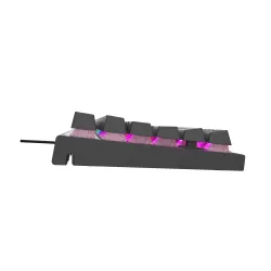 Klawiatura mechaniczna Genesis Thor 303 RGB Outemu Brown Czarny
