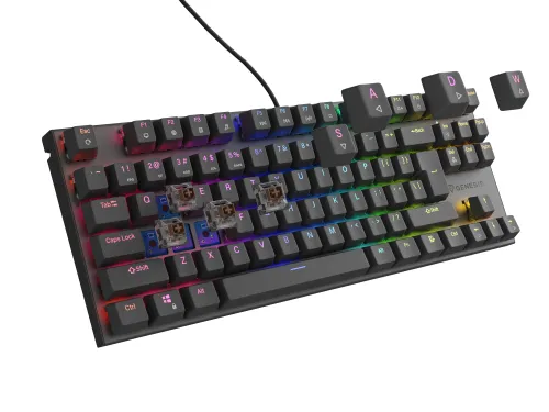 Klawiatura mechaniczna Genesis Thor 303 TKL HOT SWAP Outemu Brown Czarny