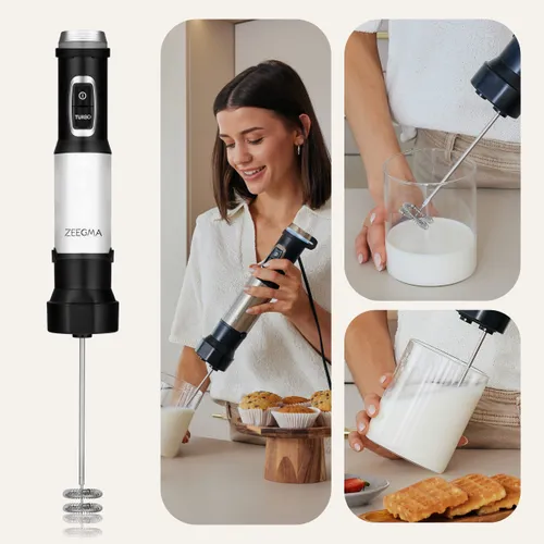 Blender ZEEGMA Handy Chef Versablend