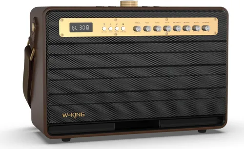 Głośnik mobilny W-KING K6L + 2 mikrofony Brązowy