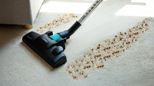 Напольный пылесос Cecotec Conga Powerbag 2000 Compact Plus