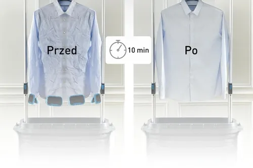 Szafa parowa TEFAL Care For You YT4050E1