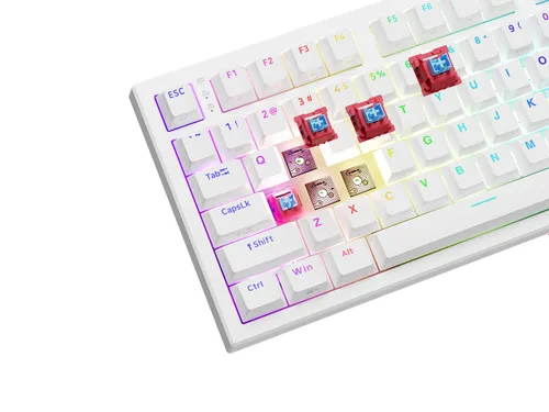 Klawiatura gamingowa Genesis Thor 404 75% GenX Stratos Silent przewodowa mechaniczna podświetlana cicha biała