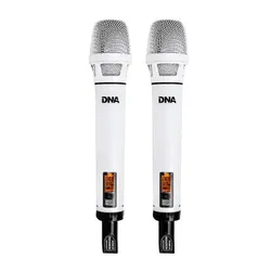 System bezprzewodowy DNA PSV 2