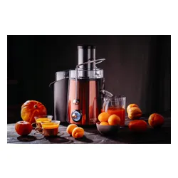 Sokowirówka ADLER AD 4129