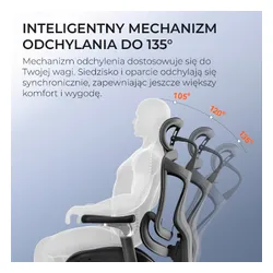 Fotel SIHOO Doro C300 PRO Czarny