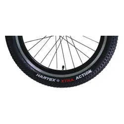 Rower dziecięcy INDIANA Figo 20 cali dla dziewczynki Różowy