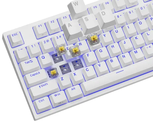 Klawiatura mechaniczna Genesis Thor 404 TKL US RGB - Gateron Yellow Pro - biały