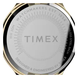 Timex Peyton TW2V06200 Gold / Gold Saati