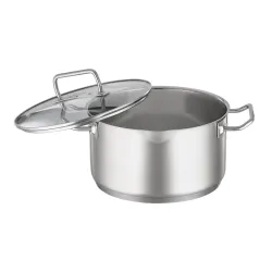 ROESLE Expertiso 5,8 l - garnek ze stali nierdzewnej z pokrywką