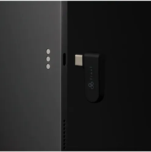 Słuchawki dokanałowe FINAL AUDIO VR3000 Wireless ANC Czarny