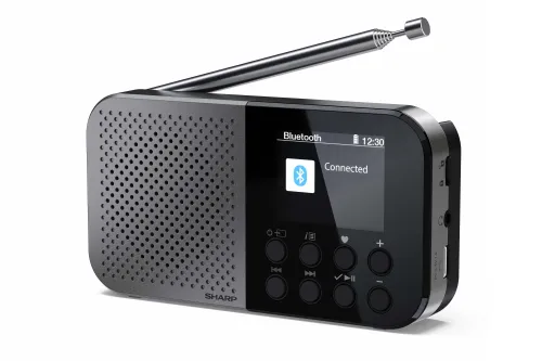 Radioodbiornik Sharp Osaka DR-P520(GY) Radio FM DAB+ Bluetooth Szary