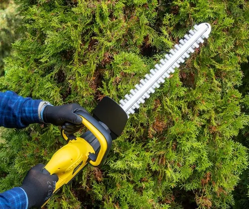 Nożyce do żywopłotu KALTMANN K-PDZ-01AKU-2.0B 480mm 20V akumulatorowe