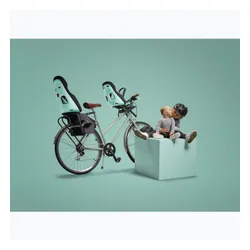 Детское велокресло THULE Yepp Nexxt 2 Maxi RM
