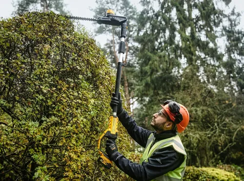 Nożyce do żywopłotu na wysięgniku DeWalt DCMPH566N-XJ
