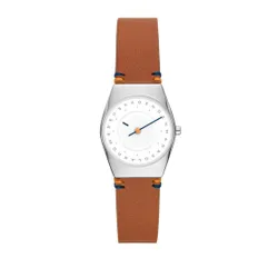 Skagen Skw3086 Gümüş Saat