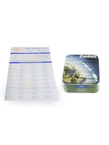 Часы наручные Casio DW-5900-1ER