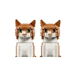 LEGO 21376 Ideas - Rudy kot