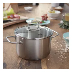 FISSLER Viseo 2,1 l - garnek ze stali nierdzewnej ze szklaną pokrywką