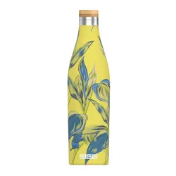 Butelka termiczna Sigg Thermo Flask Meridian Sumatra 0,5 - maki