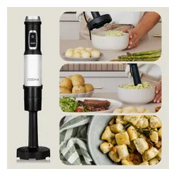 Blender ZEEGMA Handy Chef Versablend